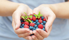 Berries in Hand