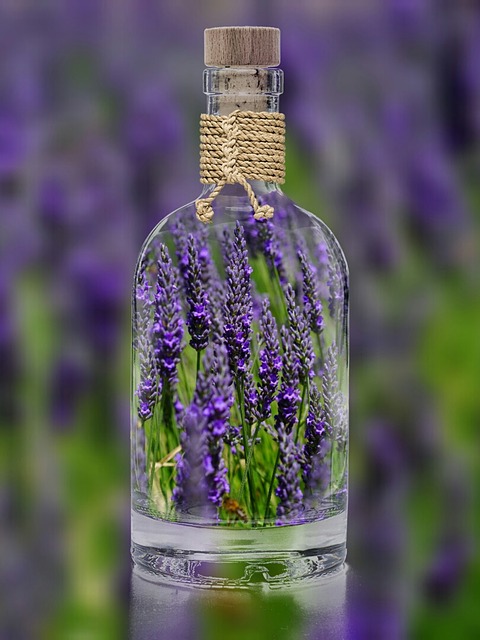 lavender-1490788_640
